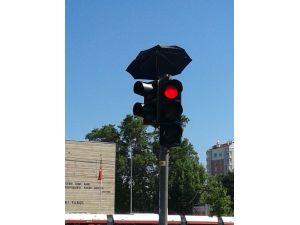 Trafik Lambasına Yuva Yapan Kumruya Şemsiyeli Koruma