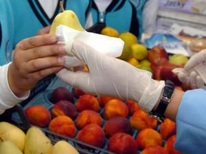 Artık Öğrenciler Organik Besleniyor 