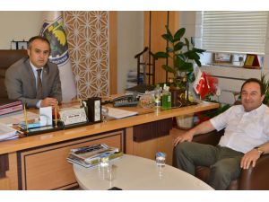 Yılda 10 Milyon Palet Üretiliyor