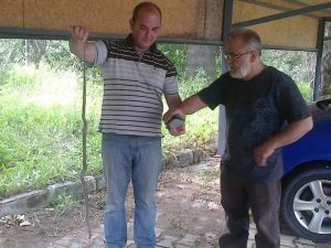 Vatandaş Panikte Araçlarına Binemiyor...