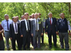 Tzob Genel Başkanı Bayraktardan Elektrik Dağıtım Şirketlerine Tepki