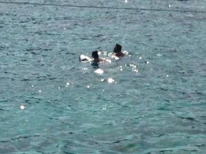 Reza Zarrab Bodrum’da Karakolluk Oldu