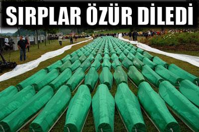 Sırplar, Boşnaklardan özür diledi 