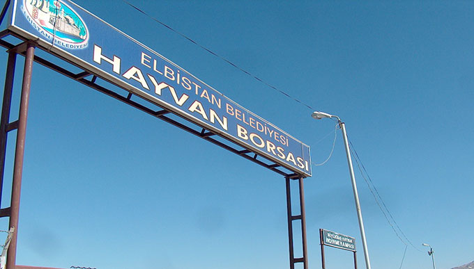 Hayvan Borsası Hastalık Nedeniyle Kapatıldı