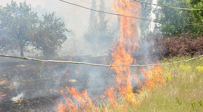 Meyve Bahçesi Yangında Kül Oldu