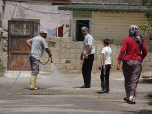 Adıyamanda Bir Mahalleyi Pireler Bastı
