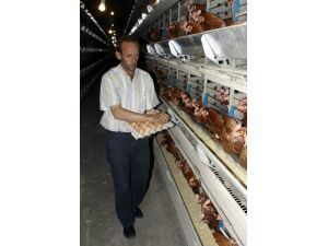 Işid Yumurtayı Da Vurdu