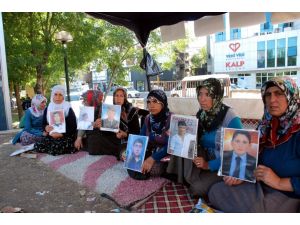 Diyarbakır’daki Aileler Cumhurbaşkanı Ve Başbakan İle Görüşecek