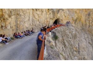 Bunun Adı Çılgınlık