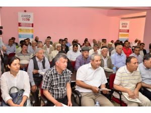 Diyarbakır Büyükşehir Belediye Eşbaşkanı Anlı: Siyaset Yapmayacak, Hizmet Üreteceğiz