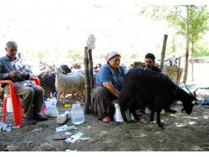 20 Yıl Sonra Köylerine Döndüler