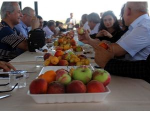 Şanlıurfada Sebze Fiyatları Düştü, Meyve Fiyatları Uçtu