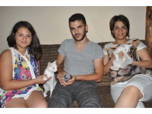 Bu Kareden Sonra Ne Mi Oldu ? Sandığınız Gibi Değil...
