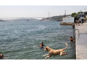 Burası Antalya Değil, İstanbul