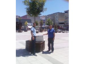 Meydandaki Arı Kolonilerine Arıcı Operasyonu