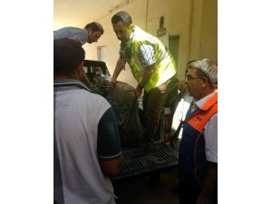 Tika’dan Terör Mağduru Türkmen Karakoyun Kasabasına Destek