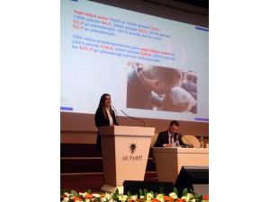 Ak Parti Döneminde Sosyal Değişim Ve Dönüşüm