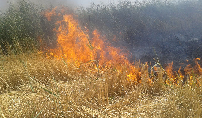 Anız Yangınları Çevreyi Tehdit Ediyor