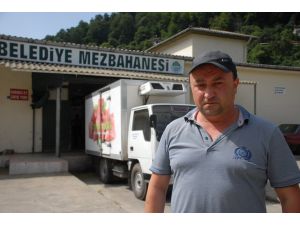(Özel Haber) Zonguldak’ta ‘Kaçak Et’ İddiası