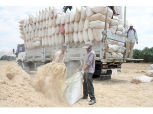 Kuraklık Saman Fiyatlarını Tavan Yaptırdı