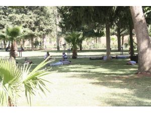 Şanlıurfada Aşırı Sıcaklar Bunaltıyor