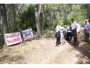 Bilirkişi Heyeti Phaseliste Keşif Yaptı