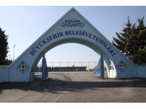 Gaziantep Büyükşehir Belediyesporda Kalacak Oyuncular Belli Oldu