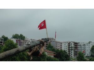 Batı Karadenizde 1 Temmuz Kabotaj Bayramı Kutlandı