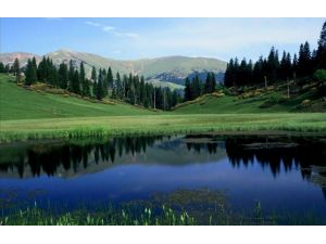 İl Genel Meclisinde Yayla Tartışması