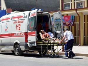 Sıcaklar Bayılttı