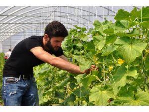 (Özel Haber) Hem Ders Hem Organik Yaşam