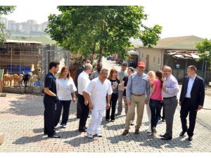 Beylikdüzü Belediyesi Hayvanları Koruma Altına Aldı