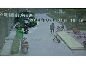 8. Kattan Düşen Kızın Hayatını Kurtardı