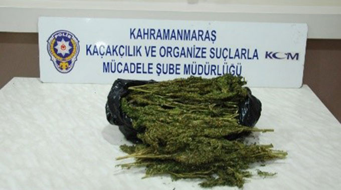 Esrar Kaçakçılarına KOM Polisinden Darbe