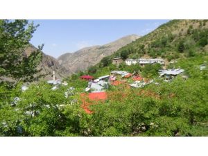 Başbağlarda Acı Ve Hüzün Dinmedi