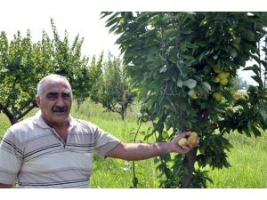 Manisa Tarzanı’ndan Etkilendi Manisa’ya Yerleşti