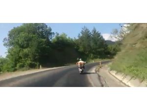 Köpeğin Motosiklet Keyfi
