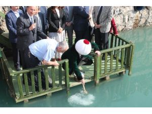 Hoca Bu Defa Dereye Maya Çaldı