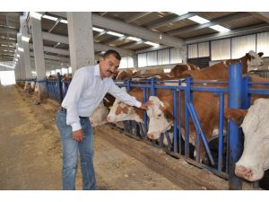 Afyonkarahisar’da 5 Milyon Tl’lik Modern Çiftlik Yatırımı