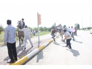 Başbakan Erdoğana Eskortluk Eden Helikopterler Atlı Ekibi Korkuttu