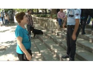 Gezi Parkı&rsquo;nda Dehşet Sadece Adres Sormuşlardı