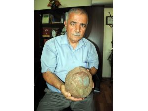 Dinozor Yumurtası Gibi Taş