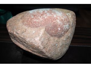 Dinozorlar Hortladı Mı ?