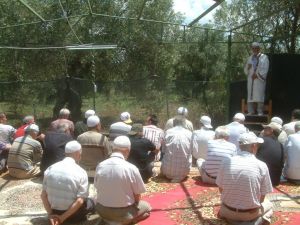 Zeytin Tarlasında Cuma Namazı Kılınıyor