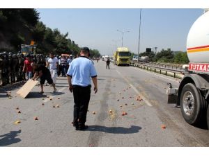 Yolu Trafiğe Kapatıp Şeftalileri Saçtılar