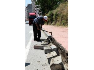 Yol Olan Arazisini Sebze Bahçesine Çevirecek