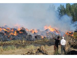 Anız Yangını Felakete Neden Oldu