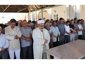 Gazzede Ölenler İçin Elazığda Gıyabi Cenaze Namazı Kılındı