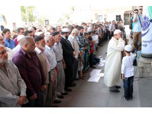 Filistin’de Şehit Olanlar İçin Gıyabi Cenaze Namazı