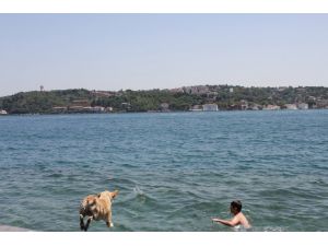 İstanbul’da Termometreler 45 Dereceyi Gösterdi